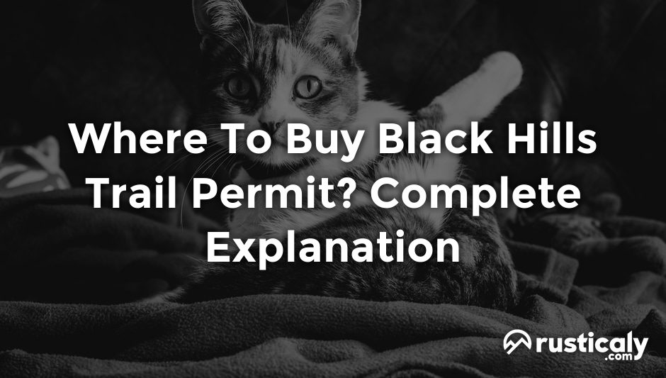 where to buy black hills trail permit