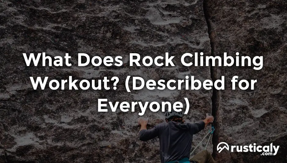 what does rock climbing workout