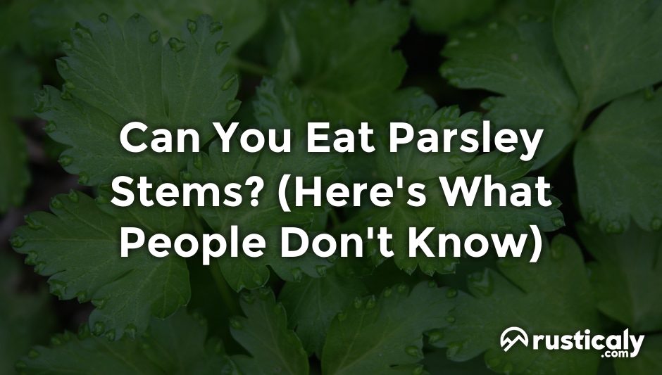 can you eat parsley stems