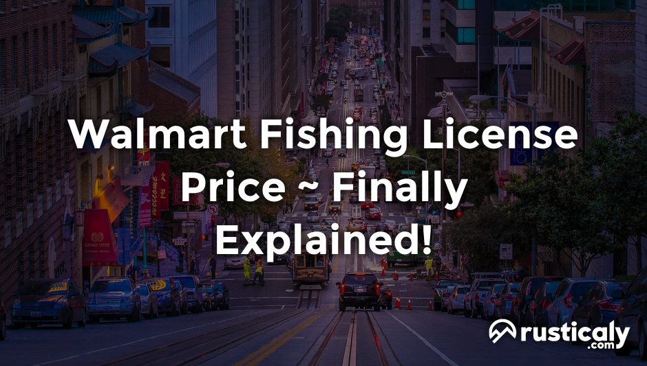 walmart fishing license price