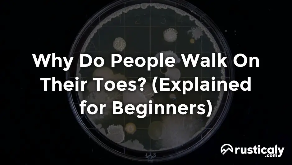 why do people walk on their toes