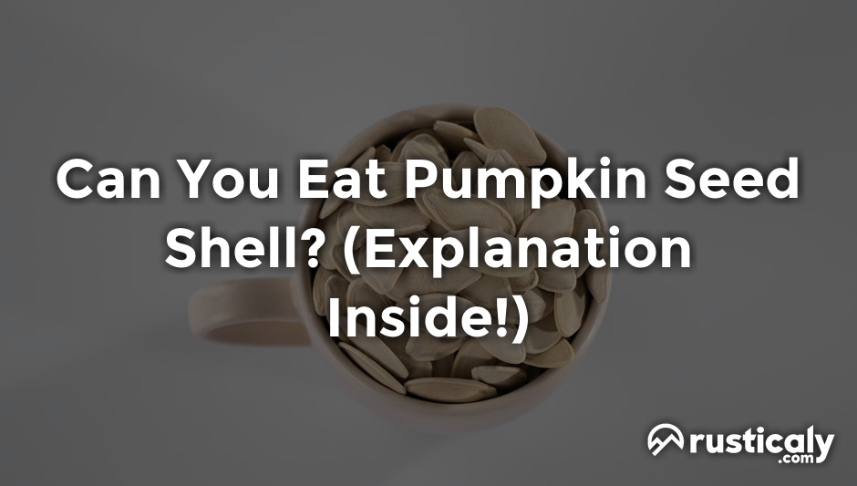 can you eat pumpkin seed shell