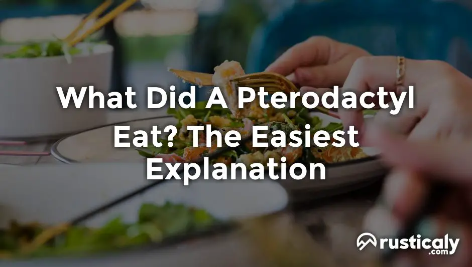 what did a pterodactyl eat