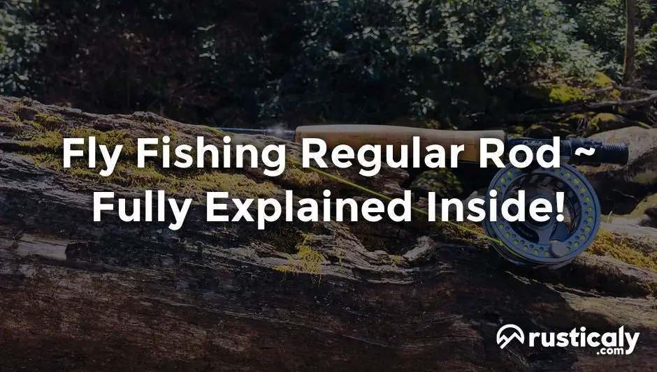 Fly Fishing Regular Rod With The Clearest Explanation