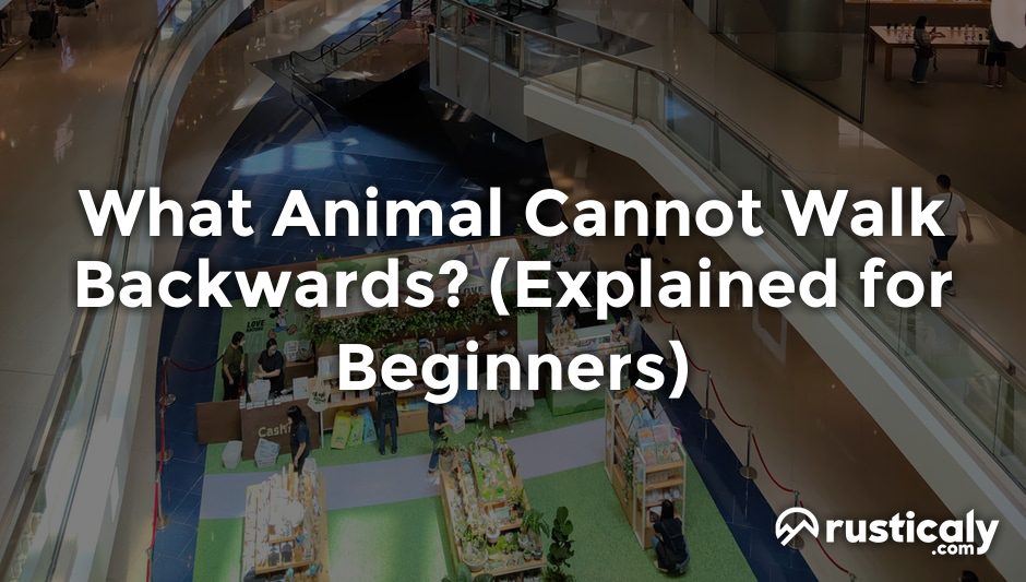 what animal cannot walk backwards