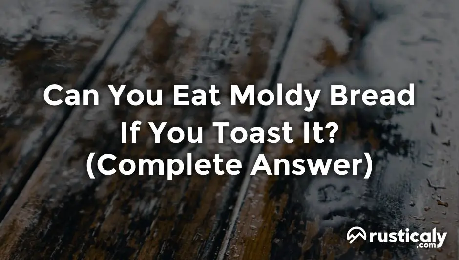 can you eat moldy bread if you toast it