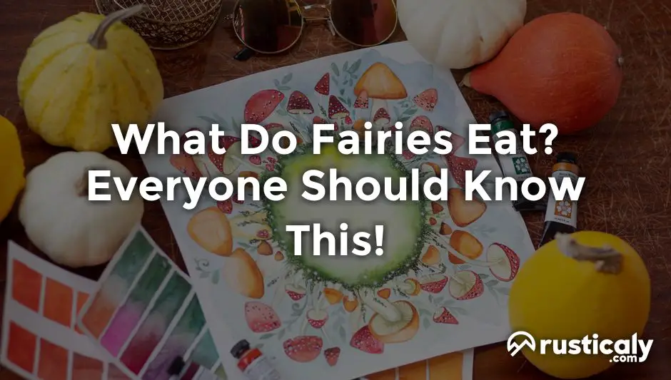 what do fairies eat