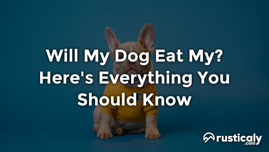 will my dog eat my