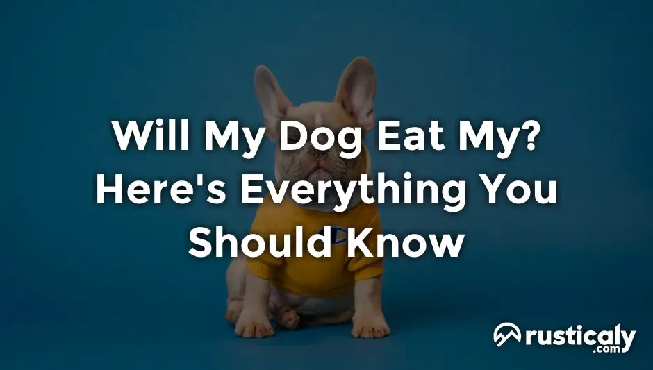 will my dog eat my