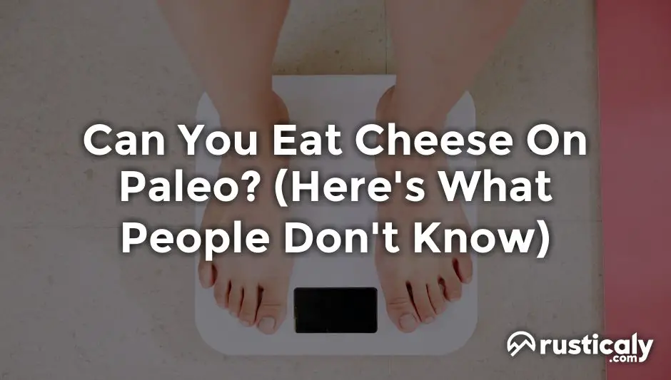 can you eat cheese on paleo