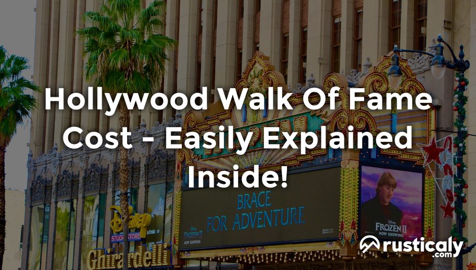 hollywood walk of fame cost