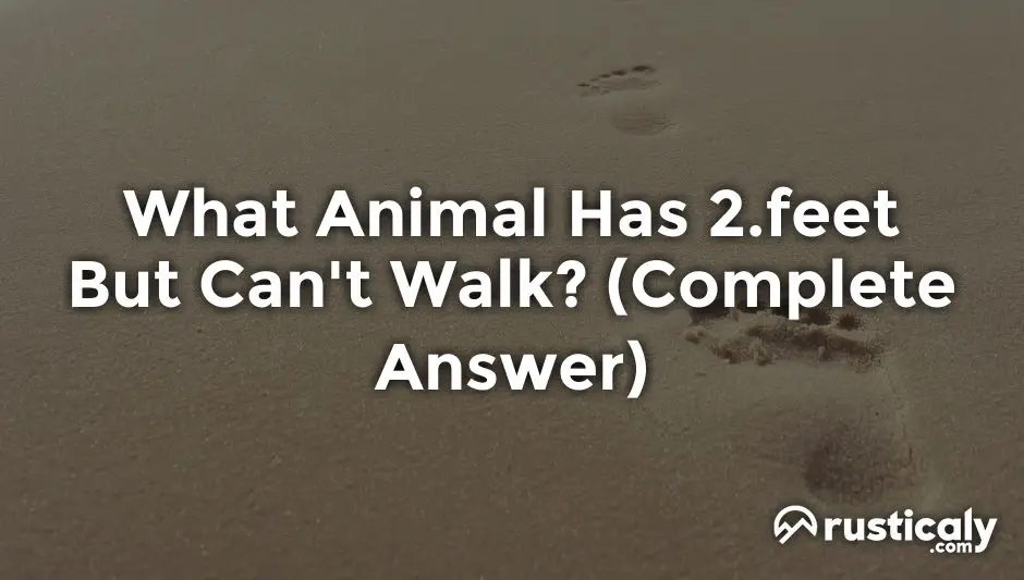 what animal has 2.feet but can't walk