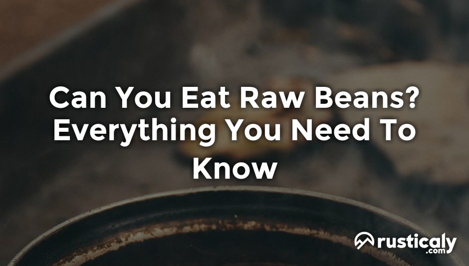 can you eat raw beans