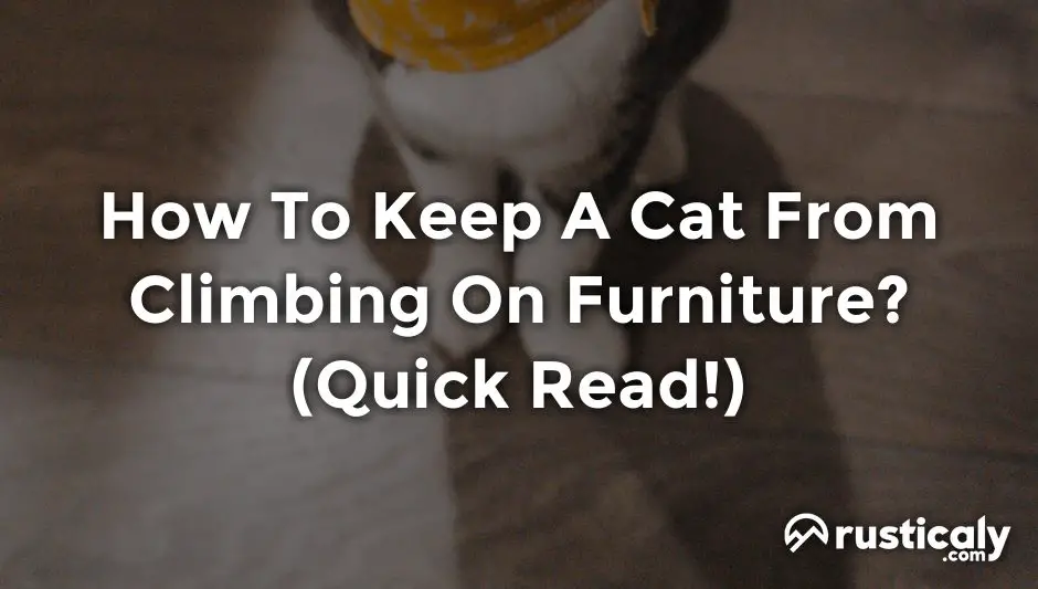 how to keep a cat from climbing on furniture