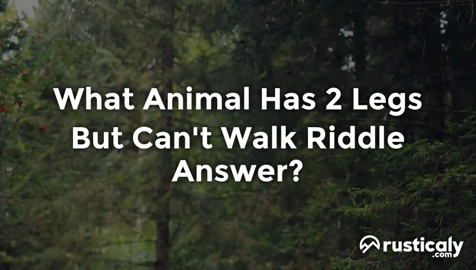 what animal has 2 legs but can't walk riddle answer