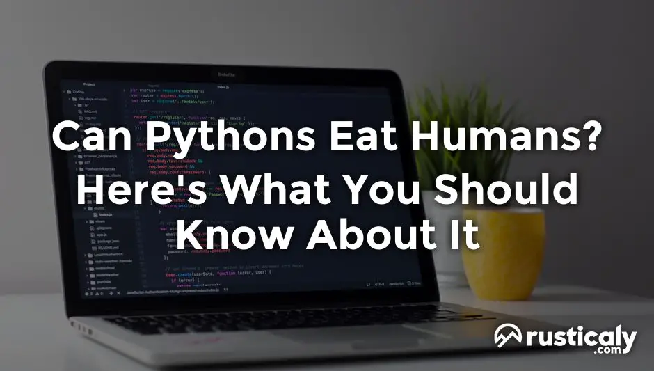 can pythons eat humans