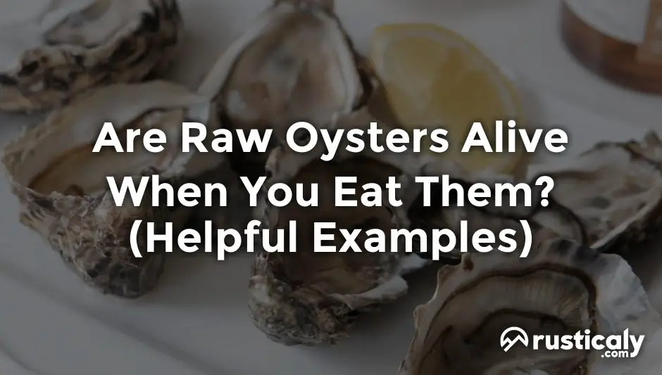 are raw oysters alive when you eat them