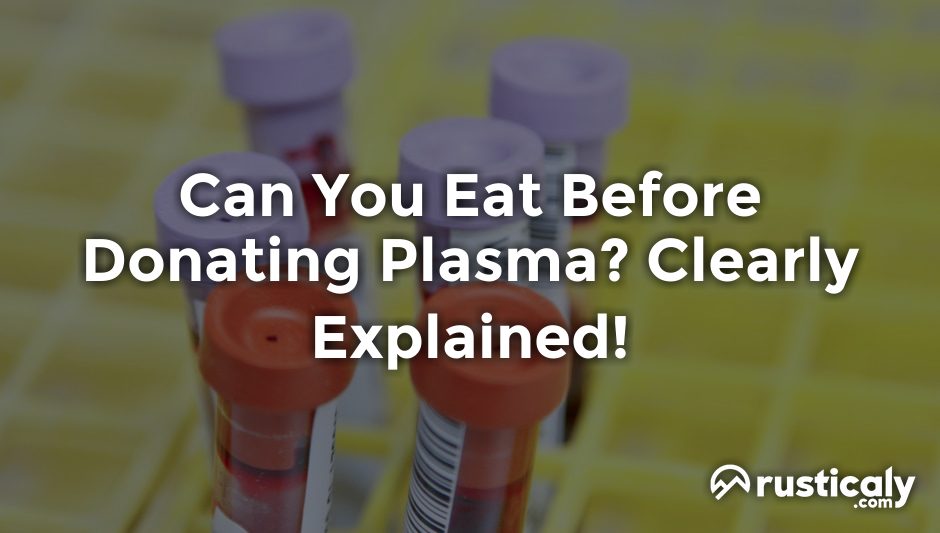 can you eat before donating plasma