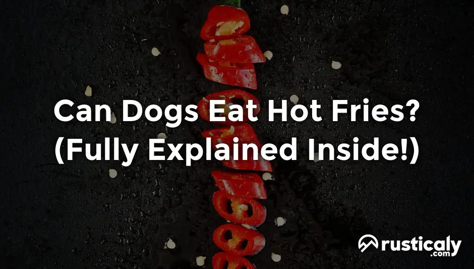 can dogs eat hot fries