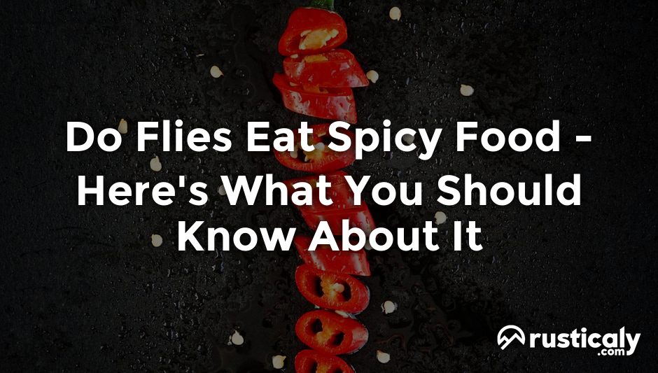 do flies eat spicy food