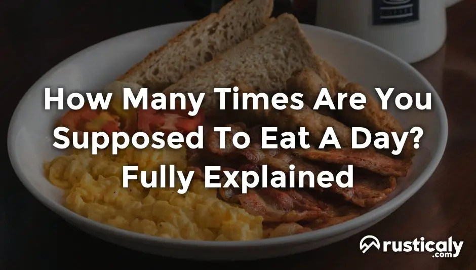 How Many Times Are You Supposed To Eat A Day Easy Read how-many-times-are-you-supposed-to-eat-a-day-easy-read