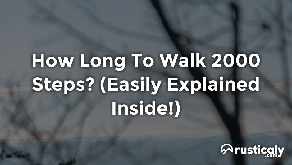 how long to walk 2000 steps