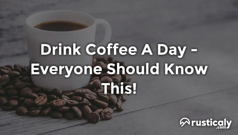 drink coffee a day