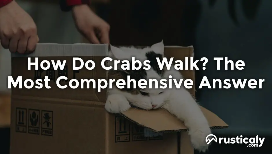 how do crabs walk