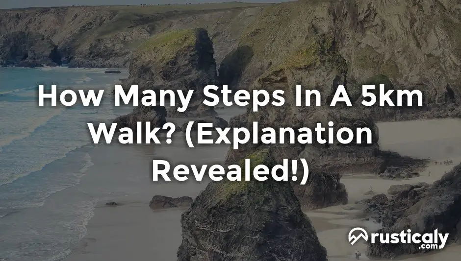 how many steps in a 5km walk