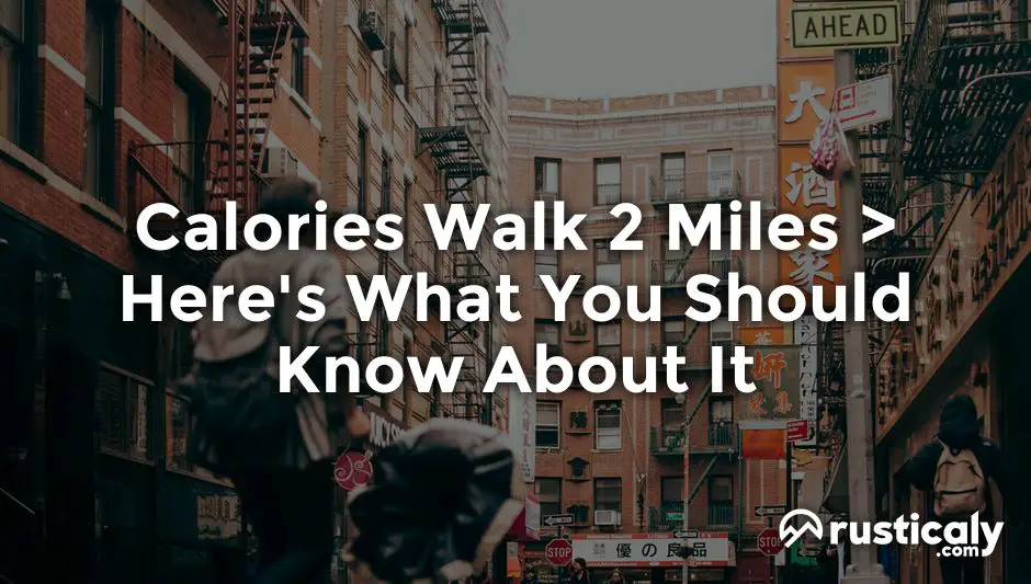 calories walk 2 miles