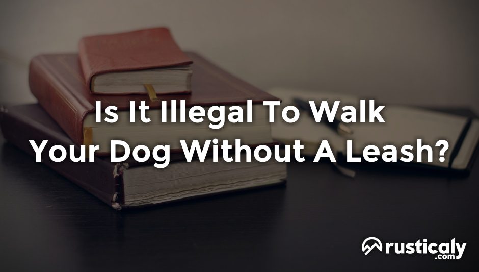 is it illegal to walk your dog without a leash