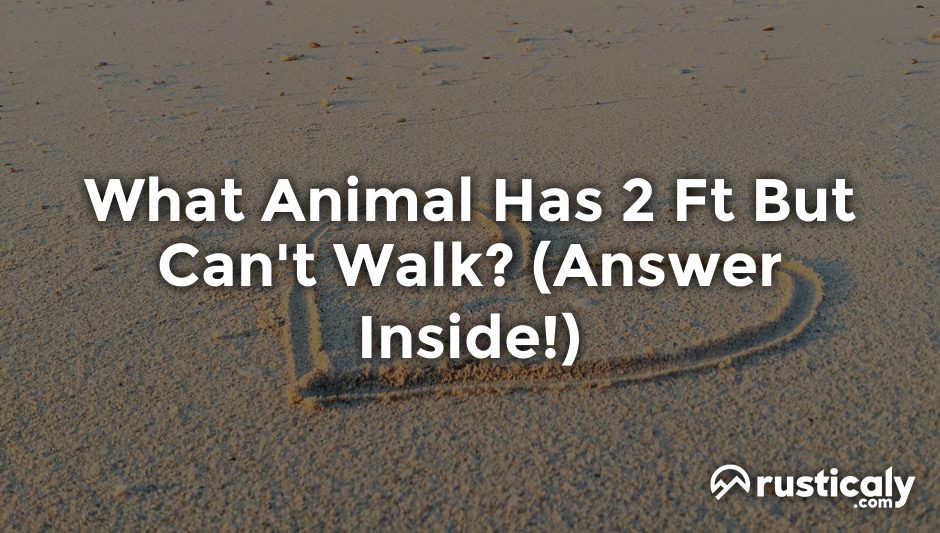 what animal has 2 ft but can't walk