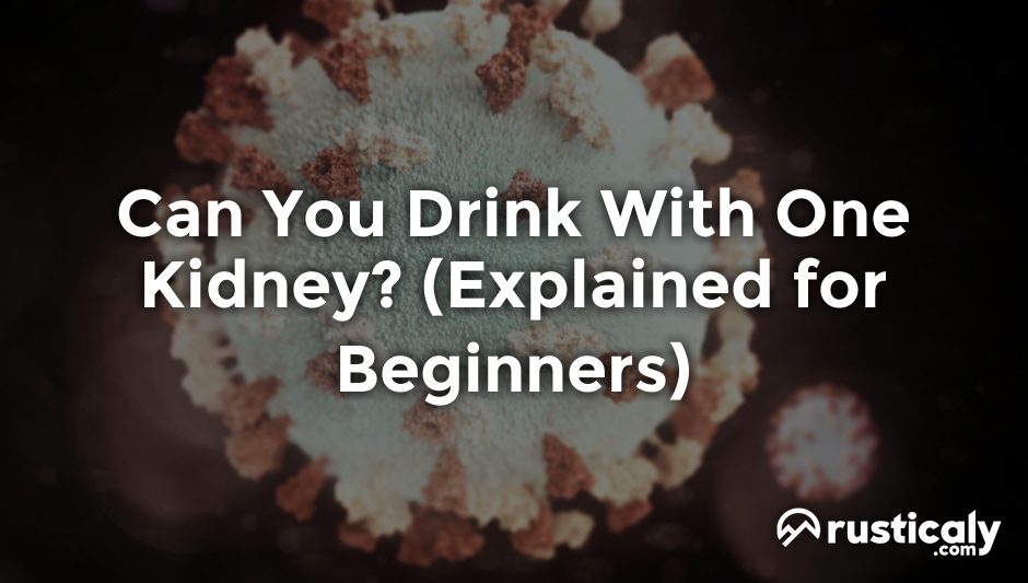 can you drink with one kidney