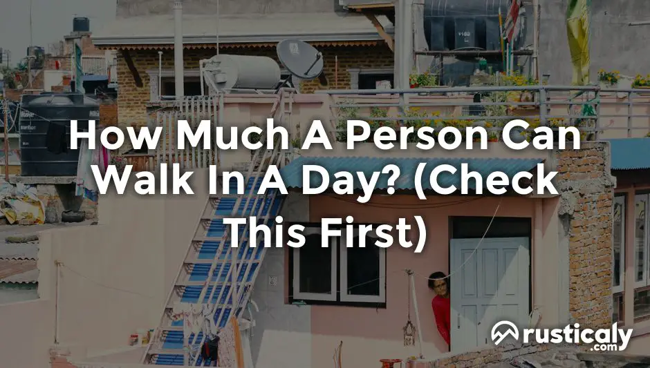 how much a person can walk in a day