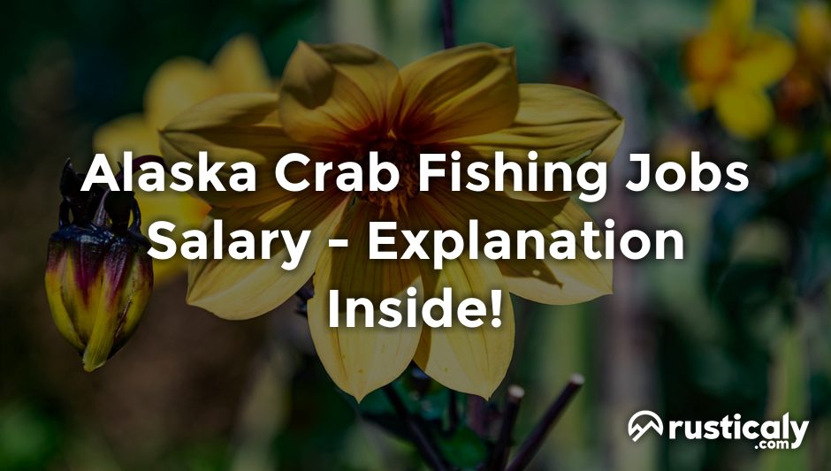 alaska crab fishing jobs salary