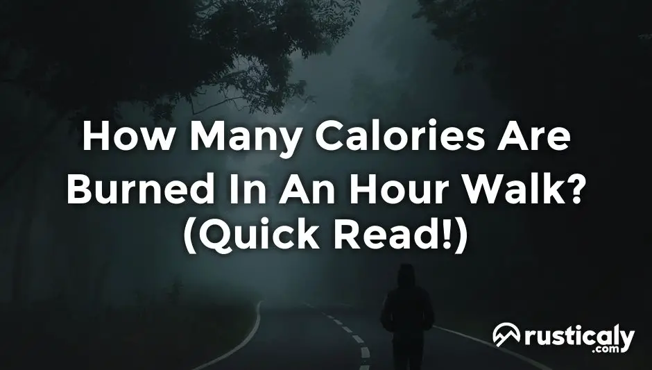 how many calories are burned in an hour walk
