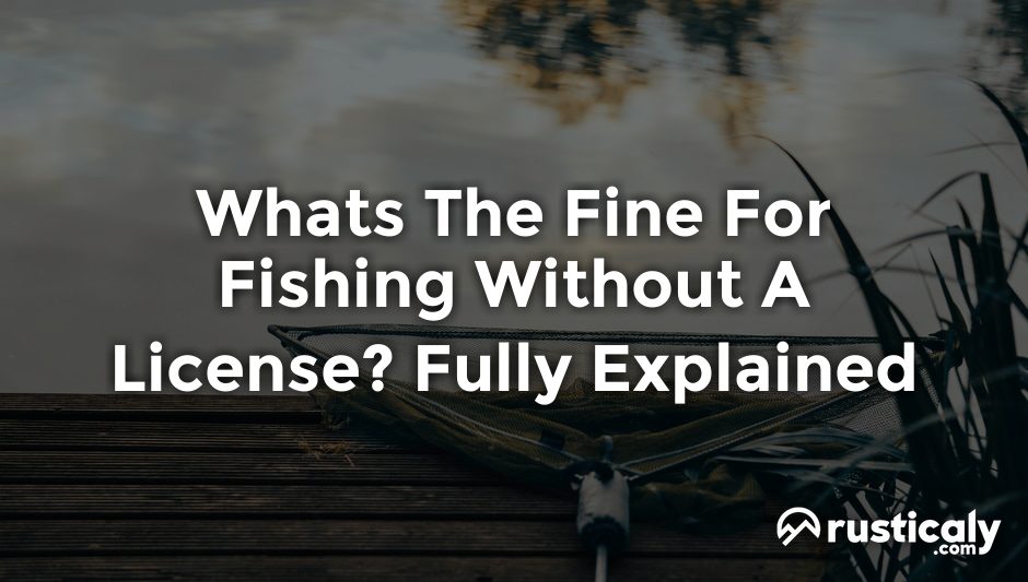 whats the fine for fishing without a license