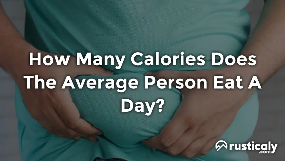 how many calories does the average person eat a day