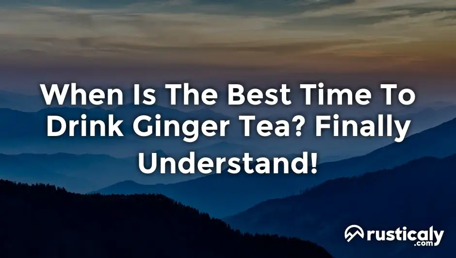 when is the best time to drink ginger tea