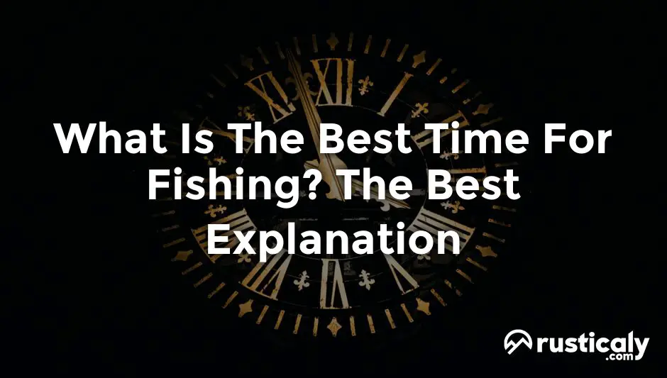 what is the best time for fishing