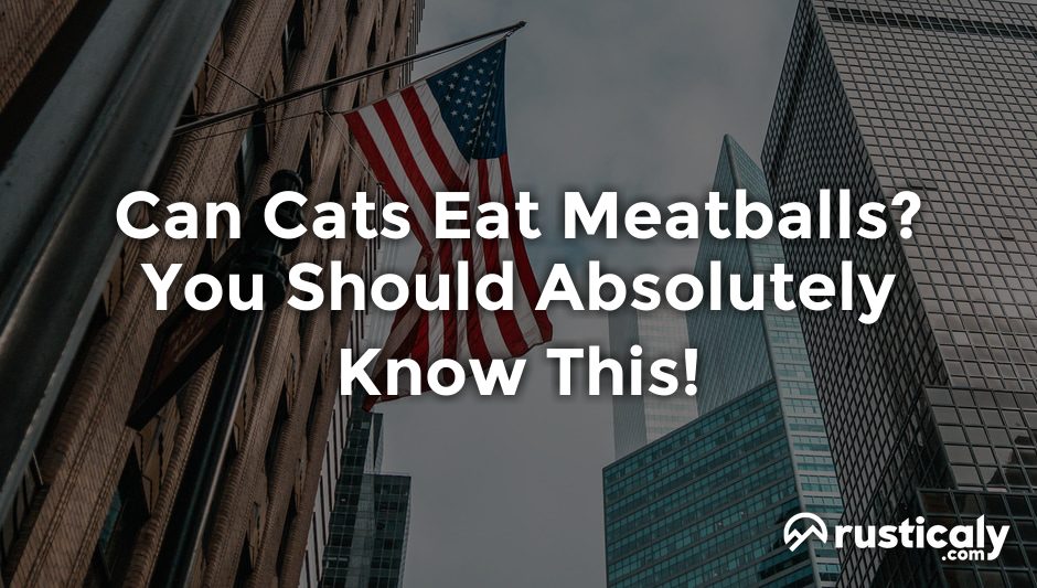 can cats eat meatballs