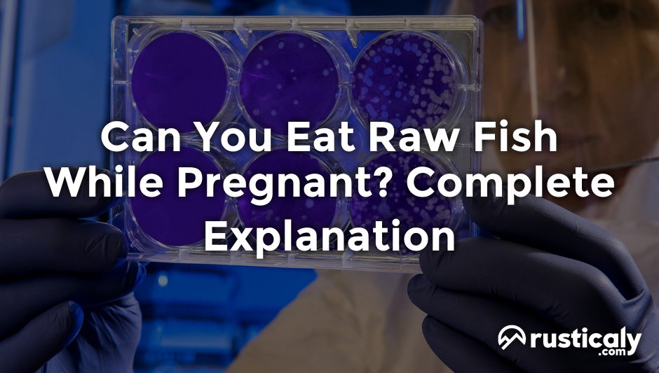 can you eat raw fish while pregnant
