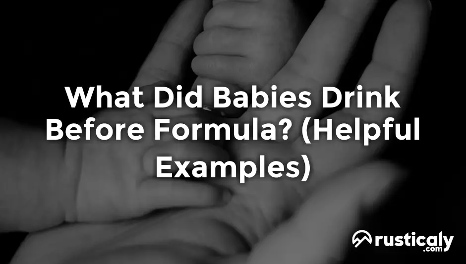 what did babies drink before formula