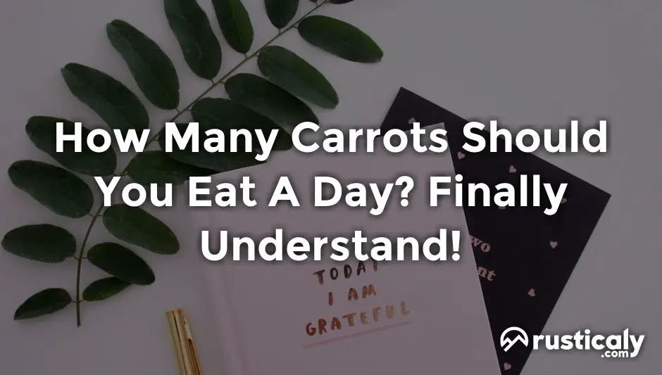 how many carrots should you eat a day