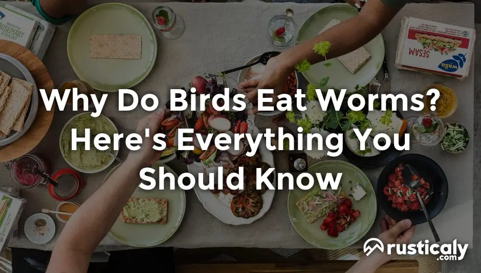 why do birds eat worms