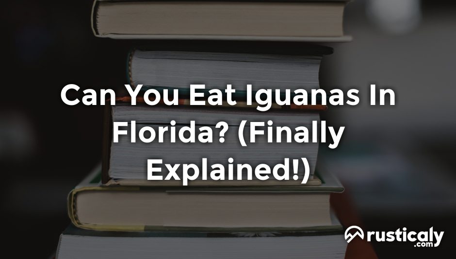 can you eat iguanas in florida
