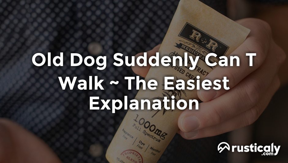 old dog suddenly can t walk