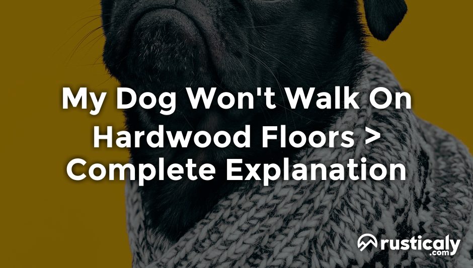 my dog won't walk on hardwood floors