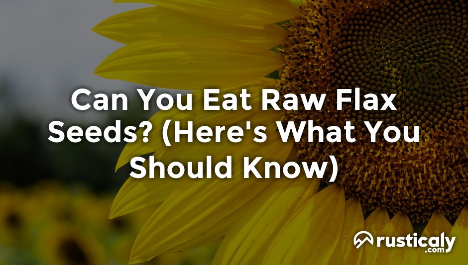 can you eat raw flax seeds