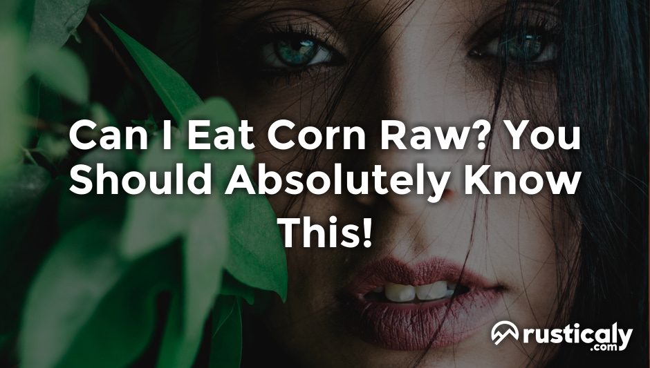 can i eat corn raw